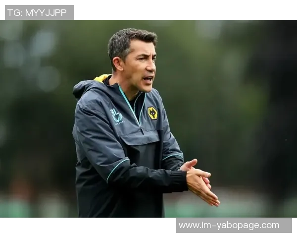 拉尔森渴望继续征战英超狼队开价4000万镑寻求转会