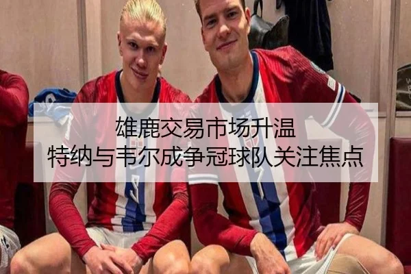 雄鹿交易市场升温 特纳与韦尔成争冠球队关注焦点 | Yabo